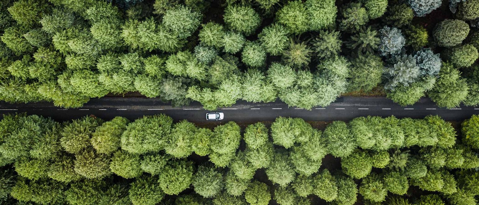 Bil kör på bilväg i skogen Bil kör på bilväg i skogen