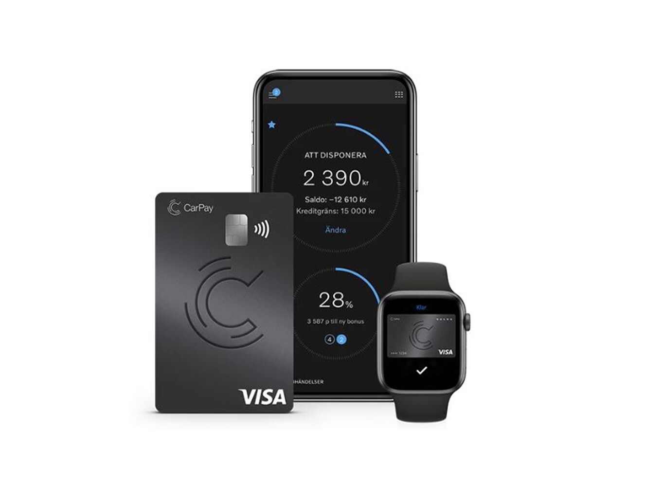 Biliakortet Carpay Biliakortet Carpay