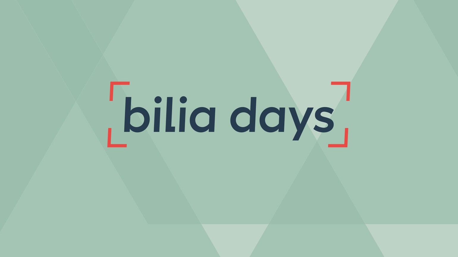 bilia days bilia days